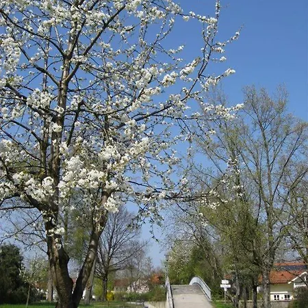 Ferienwohnung Am Grungurtel Διαμέρισμα