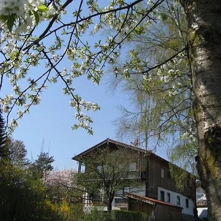 Ferienwohnung Am Grungurtel Διαμέρισμα